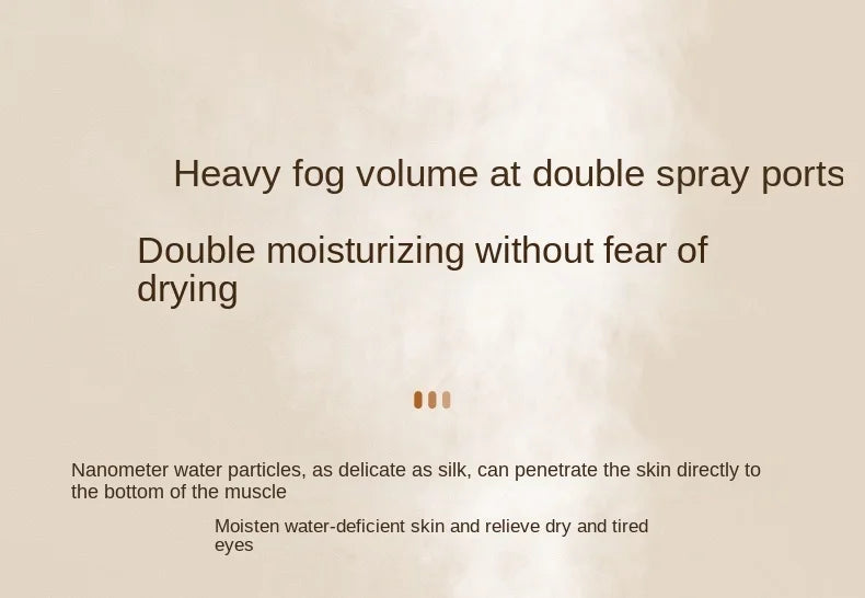 New 2L Double Spray Humidifier