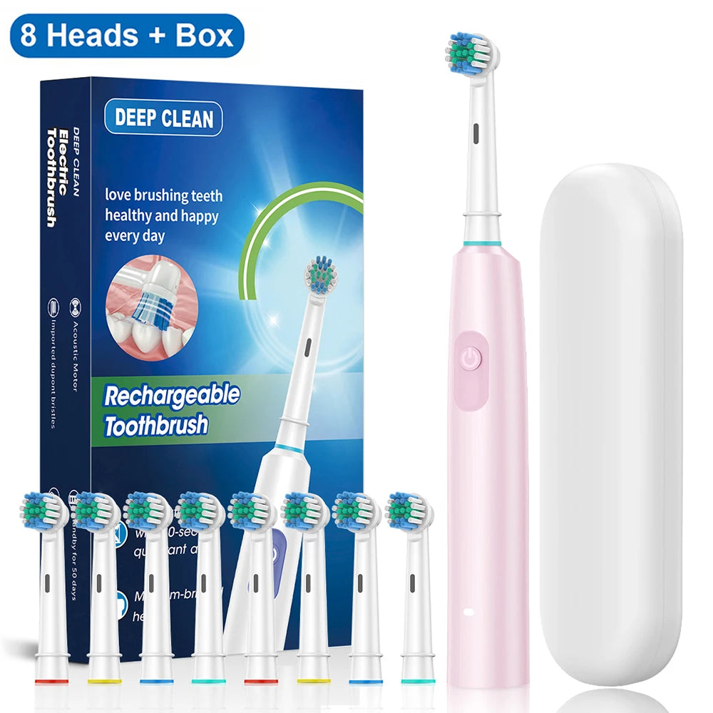 Electric Toothbrush Rotary