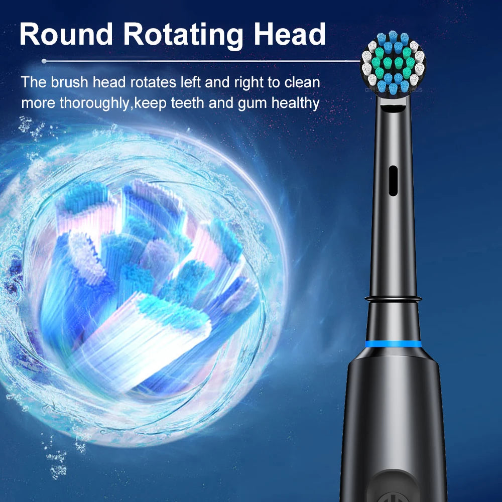 Electric Toothbrush Rotary