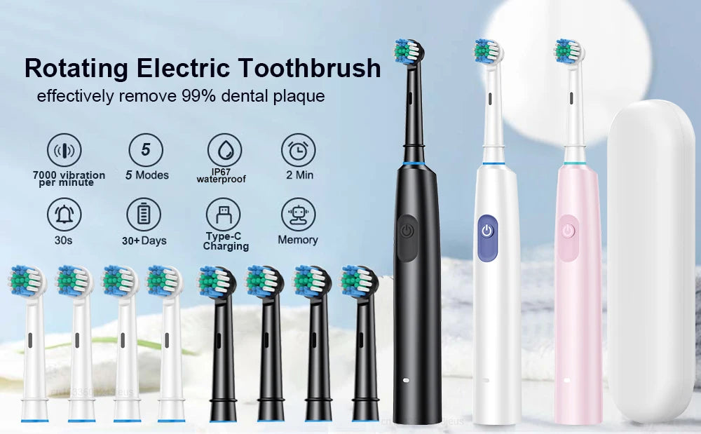 Electric Toothbrush Rotary