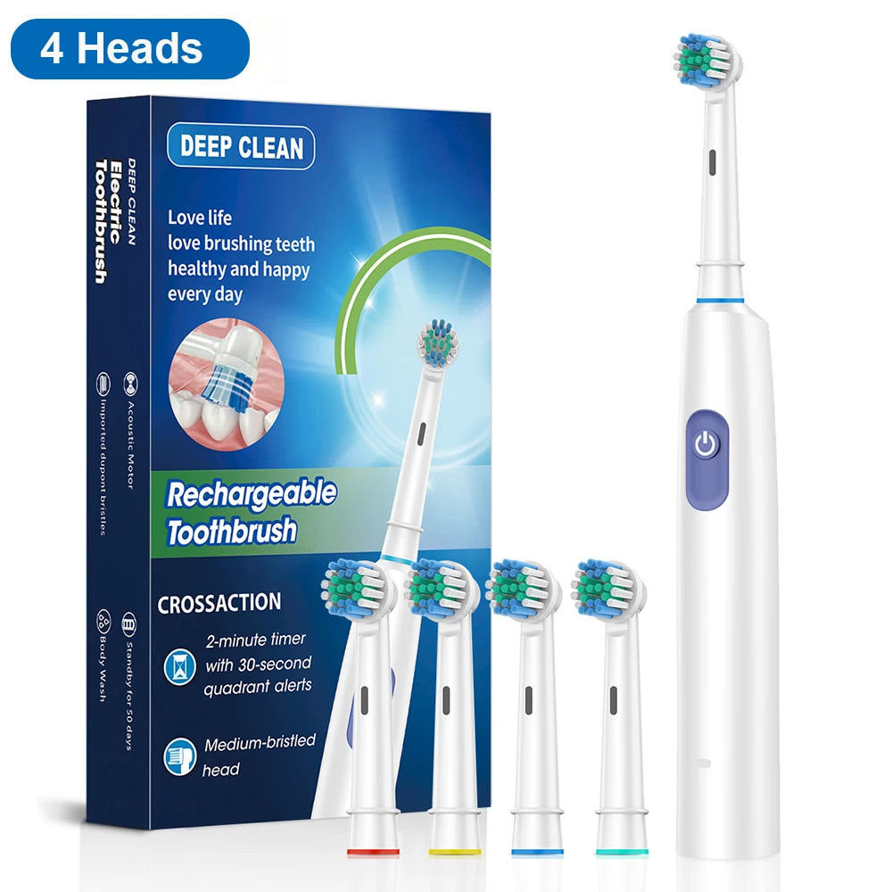 Electric Toothbrush Rotary