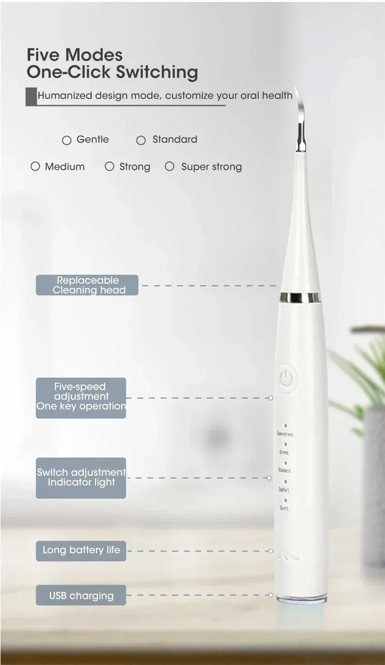 Electric Toothbrush with Sonic Cleaning 3-in-1 for Removing Tartar Whitening Teeth Oral Care USB Charging Replacing Brush Head