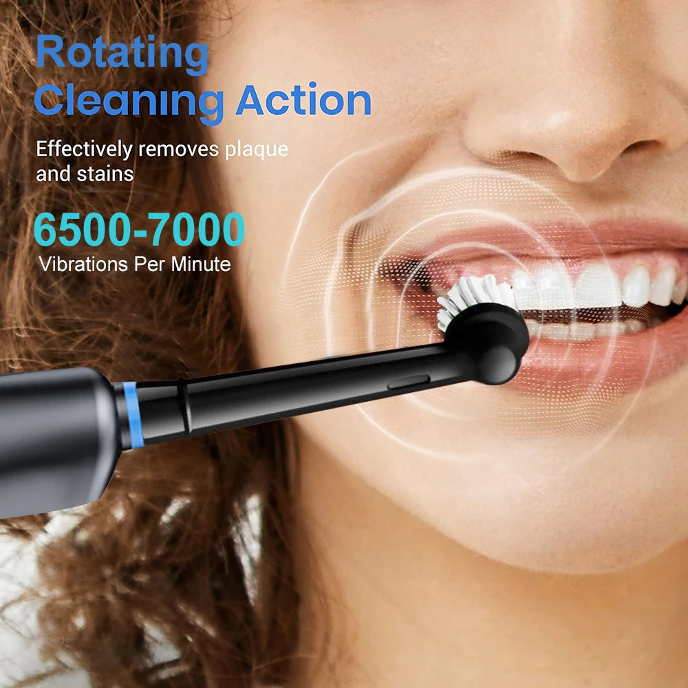 Electric Toothbrush Rotary